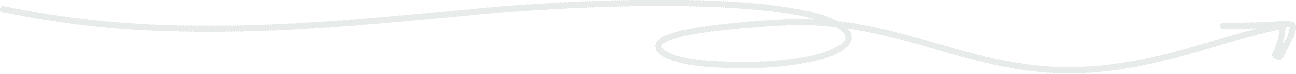 Vector Section