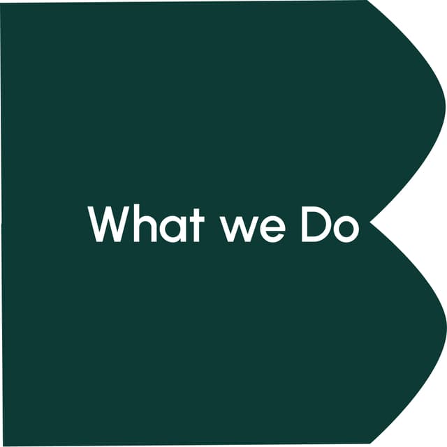 What we do 1